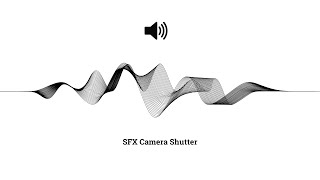 Camera Shutter Sound Effects [upl. by Irt]