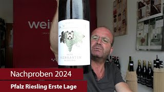 Nachproben 2024  Pfalz Riesling Erste Lage [upl. by Bartholomeo164]