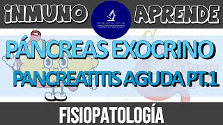 Pancreatitis Aguda Parte 1  Fisiología del páncreas exócrino  Fisiopatología de la pancreatitis [upl. by Mariellen]