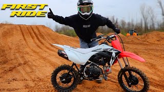 Building New Backyard Pit Bike Track Mod CRF110 First Ride [upl. by Nywg]