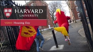 Housing Day at Harvard [upl. by Margalit]