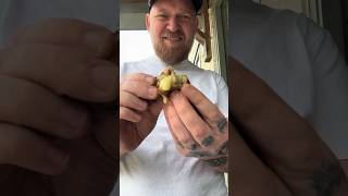 Mac n Cheese in a Sausage [upl. by Cnut]