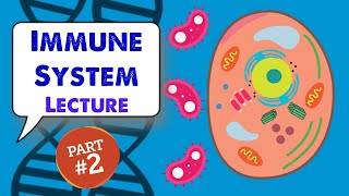 MCAT Biology Lecture Immune System 22 [upl. by Bar670]