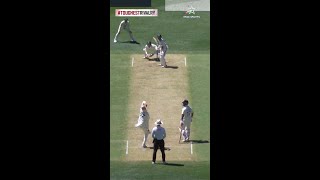 Nitish Kumar Reddy smashes Nathan Lyon for a beautiful boundary  AUSvINDOnStar [upl. by Harli]