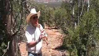 Native American Flute Music Tulipwood Improv by Richard Maynard [upl. by Sladen]