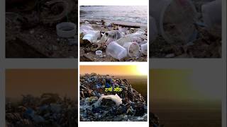 Plastic pollution problem in india anantdadadt shorts viral plasticpollution reliance [upl. by Carrillo]