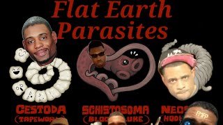 Flat Earth Parasites [upl. by Neehs286]