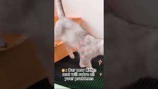 Did you know about this litter tray mat🤩 cat dog brush care cute easy kitten litterbox meow [upl. by Azile]