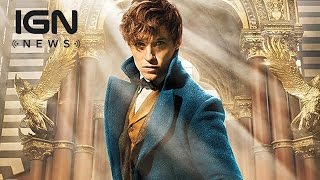 Fantastic Beasts And Where to Find Them Sequel Gets Release Date  IGN News [upl. by Verlee]