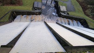 dam overflowing reservoir walk 2023 [upl. by Pratte]