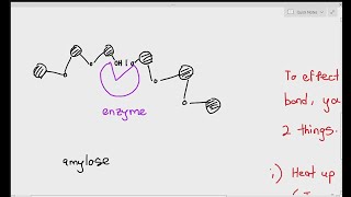 A level Biological Molecules  Learn the ENTIRE topic in this video AQA A level Biology Revision [upl. by Ahsekad]