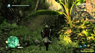 Assassins Creed IV Black Flag  Redingote Up Achievement [upl. by Anoi]