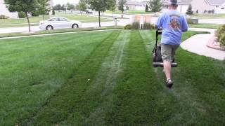 Lawn Mowing Sounds Slow Play Video [upl. by Leonore]