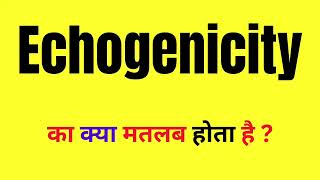 Echogenicity Word Meaning  What Is Echogenicity  Echogenicity Kya Hota Hai [upl. by Crispa]