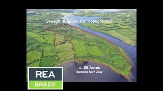 REA Brady  c 80 acres Skeagh Kilmore Online Auction November 21st 2024 [upl. by Etnecniv543]