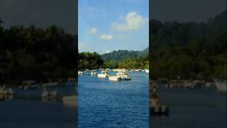 Havelock Island short viral video travel trending [upl. by Nylatsyrc]