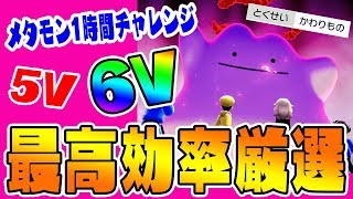 【最高効率メタモン厳選は６V余裕ってホント】1時間挑戦してみた結果…【ポケットモンスターソード・シールド実況 23】 [upl. by Christin]