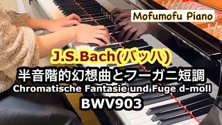 JSバッハ 半音階的幻想曲とフーガ ニ短調 BWV903Chromatische Fantasie und Fuge dmoll [upl. by Pickens941]