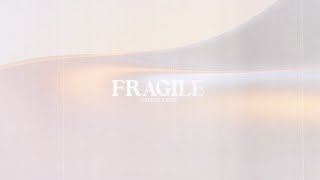 Fragile Official Lyric Video [upl. by Daly]