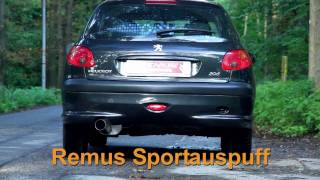 Peugeot 206 16l REMUS Sportauspuff Endschalldämpfer SOUNDFILE by Loony Tuns [upl. by Nahgam13]