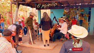 Zapateando El pajarillo en Rancho Nuevo 2024  Conjunto LINDERO [upl. by Mossberg692]