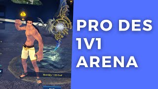 BNS PvP  DES 1v1 Earth Destroyer  Arena [upl. by Dranyam26]