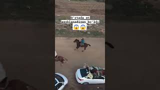 horse kingtjk duet wwe rek 🇹🇯🇹🇯🇸🇱🇹🇯🇸🇱дуэт tojikiston Uzbekistan rek [upl. by Jannery791]