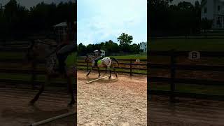 Dippy’s back horse horseenthusiast journey equestrian poles canter appaloosa fyp training [upl. by Diaz806]