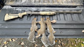 Opening Day Squirrel Hunt [upl. by Esertap]