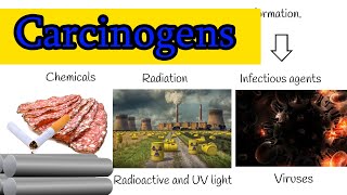 Chemical Carcinogens  Cancer causing agents we use in everyday life [upl. by Nivlem]