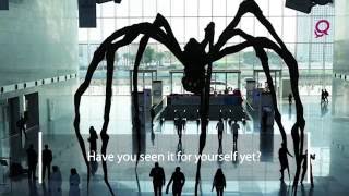 Giant Spider in Qatar [upl. by Nhaj]