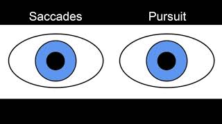 RS Supranuclear Ocular Motor Pathways Part 1  Horizontal Saccades [upl. by Schofield]