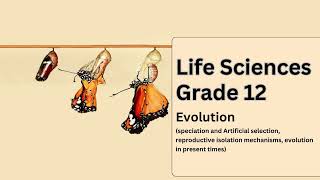 Life Sciences grade 12 Evolution speciation and Artificial selection reproductive isolation mechan [upl. by Neeven]