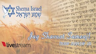 Shajarit  ShabbathShavuot 05272023 [upl. by Alyt228]