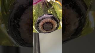 Cleaning sink faucets with CLR clean cleaning cleaningmotivation cleaningservice cleaningtips [upl. by Yee]