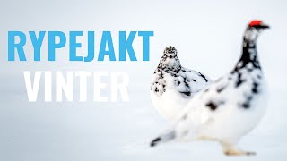 RYPEJAKT VINTER  VLOGG 9 [upl. by Cacilia]