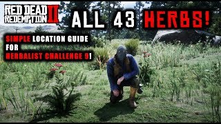 Red Dead Redemption 2  How To Find All 43 Herbs Flowers Orchids SIMPLE Location Guide [upl. by Kemppe]