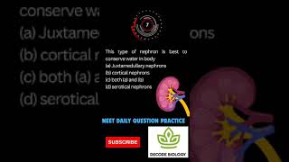 Kidney functionExcretion and Osmoregulationneet daily practice questions [upl. by Shawna248]