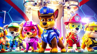 PAW PATROL Full Episode 2020 🐶Paw Patrol Full Episodes In Hindi 04 [upl. by Nomead]