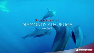 Maldive  SeaClub Style Diamonds Athuruga  FRANCOROSSO [upl. by Licht]