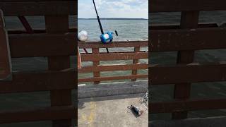 Shark Fishing  St Simons Island Pier [upl. by Elidad]