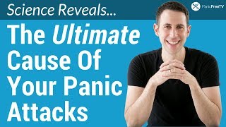 What Causes Panic Attacks The Ultimate Cause [upl. by Niveb]