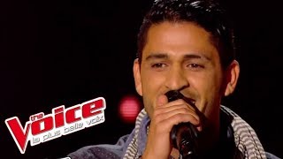 Rachid Taha Khaled amp Faudel – Abdel Khaled  Youness  The Voice France 2014  Blind Audition [upl. by Eerahs109]