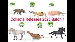 Collecta 2025 Released Batch 1 😊😍 [upl. by Rebme]