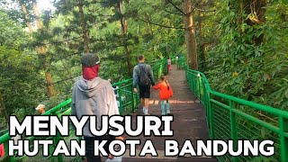 Menyusuri Hutan Kota Bandung [upl. by Matthew]