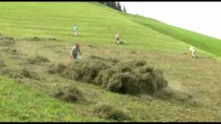 Landwirtschaft in steilen Lagen [upl. by Enilram]