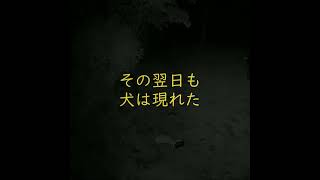 トレイルカメラに映った犬の正体は？うちの愛犬シェパードでしたが、いったい彼女は何に夢中になっていたのか？ [upl. by Eiznekcam679]