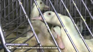 M6 1245  le procès du foie gras extrait du 22 janvier 2015 [upl. by Ahsilac562]