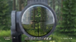 DayZ  finally a Bear Hunt goes WELL [upl. by Stalk987]