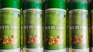 Gibberellic acid WILBLOOM plant growth regulator pgt willowood [upl. by Iniffit]